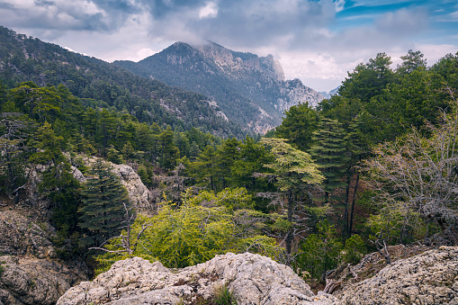 Taurus mountains in Turkey - national park concept
