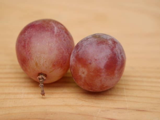 istock Red Globe Grapes on wood background .macro view of red globe grapes 1498421793