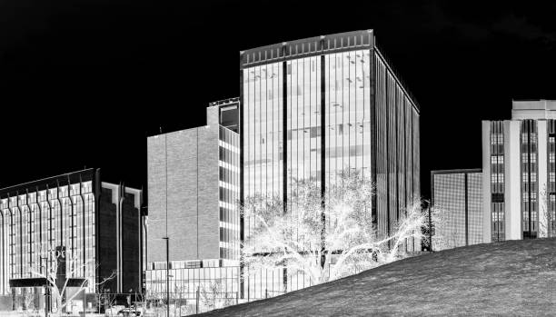 istock Midland Texas city skyline and downtown buildings 1498422818
