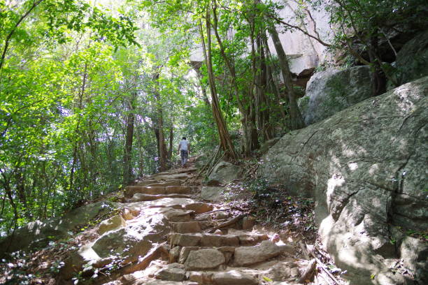 istock Pidurangala rock in Sigiriya 1498423427