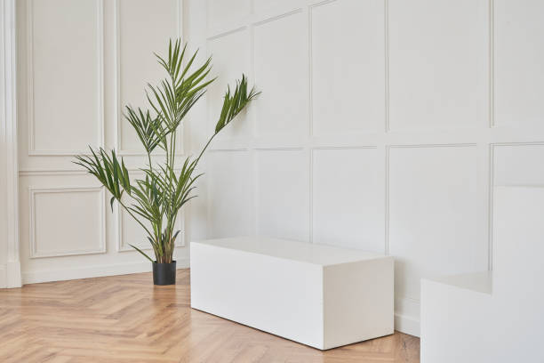 istock Empty white podium with palm tree on a white background, a mock-up for a product presentation. Minimal concept. Part of the interior with copy space. High quality photo 1498424007