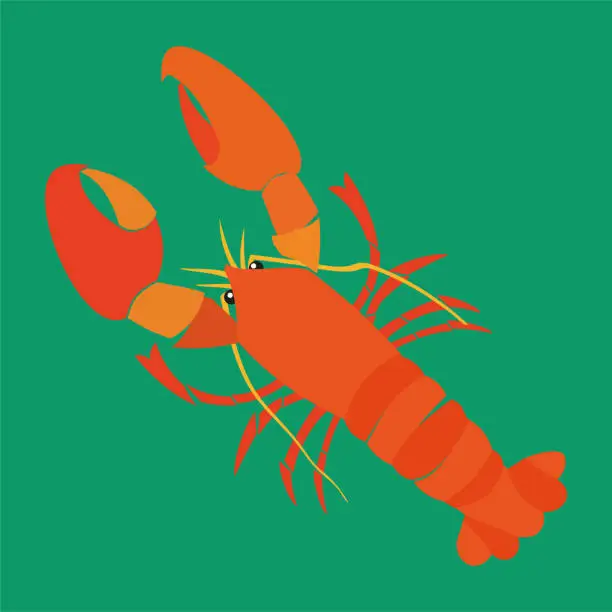 Vector illustration of Red lobster.