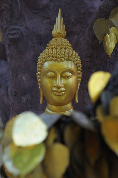 istock thailand temple buddha 1498430265