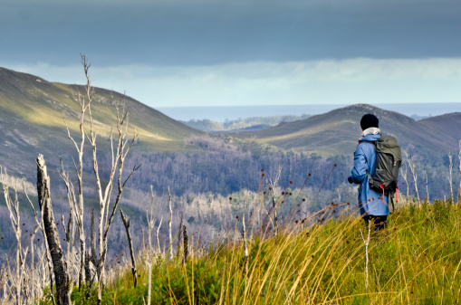 Female Hiker in rugged terrain with gloomy skies. Tarkine wilderness, Tasmania, Australia