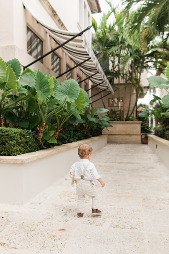 istock Lifestyle Candid Moment of a Cuban-American 1-Year-Old Baby Boy with Short Light Brown Hair Wearing Sage Green Bow Tie, Suspenders, White Buttondown Shirt, Pants & Brown Shoes Walking Around a Garden in Tropical Palm Beach, Florida in May of 2023 1498432277