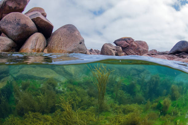 istock Aquatic Landscape Perros Guirec 1498434078