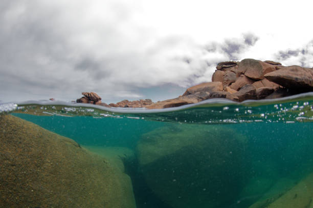 istock Aquatic Landscape Perros Guirec 1498434083