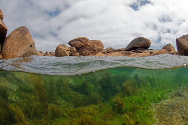 Aquatic Landscape Perros Guirec