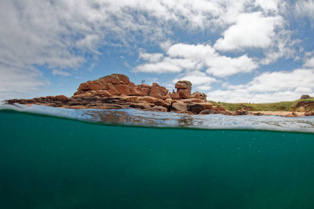 istock Aquatic Landscape Perros Guirec 1498434530