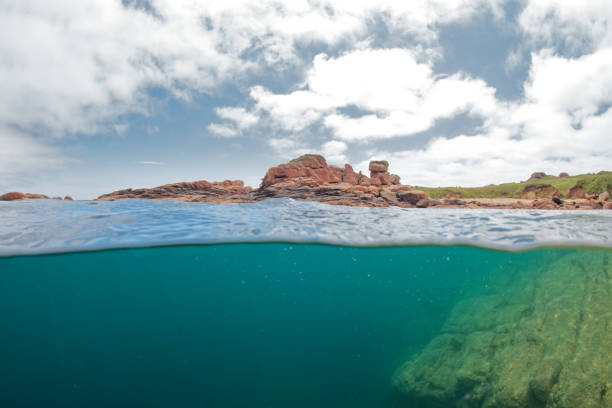 istock Aquatic Landscape Perros Guirec 1498434746