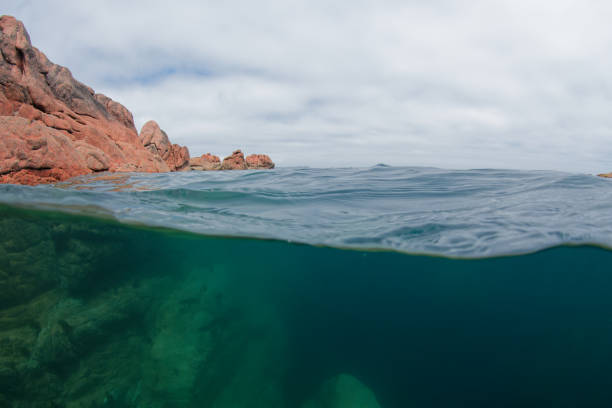 istock Aquatic Landscape Perros Guirec 1498434756