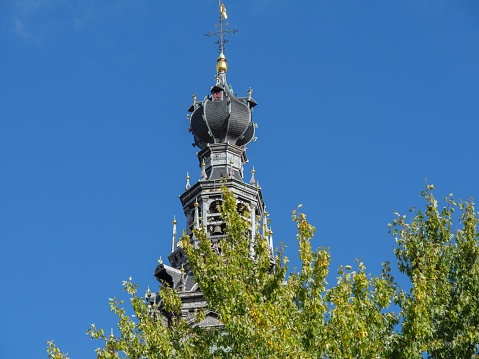 A majestic tower stands atop a lush, green tree against a bright, sunny sky