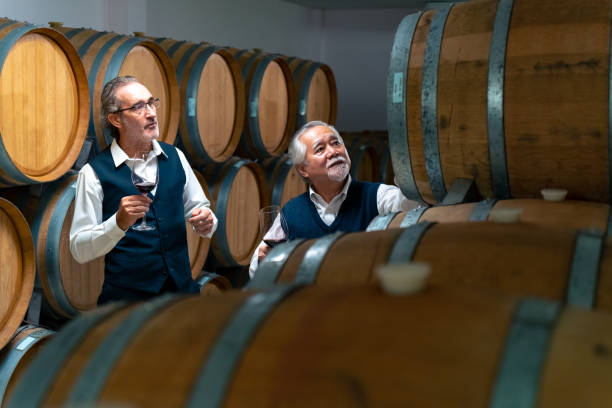 sumiller senior degustando vino tinto en bodega. - winemaking vintner winery people fotografías e imágenes de stock