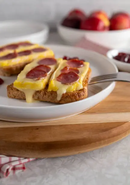 Delicious open faced sandwich with melted brie and spanish salami. Served ready to eat on a plate with cranberry sauce. Closeup, front view