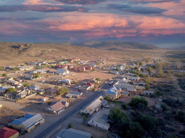istock Quiver tree in a remote, rural landscape 1498444674