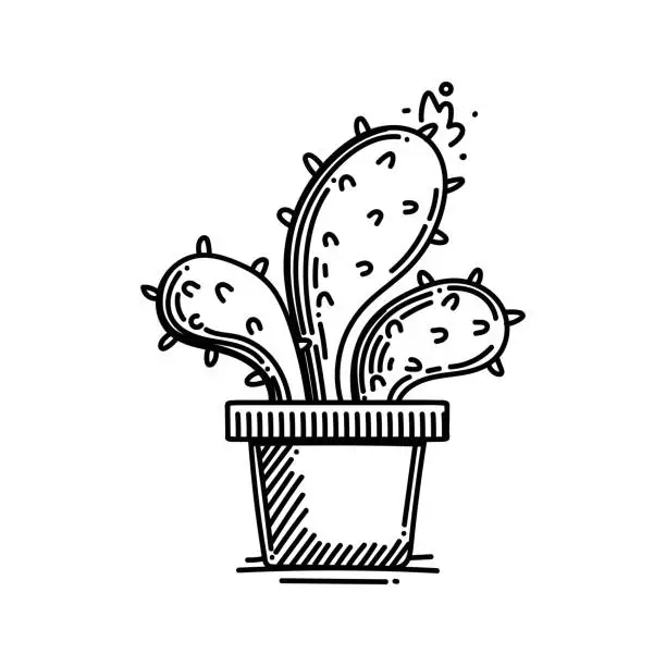 Vector illustration of Flowerpot and Cactus Line icon, Sketch Design, Pixel perfect, Editable stroke. Logo, Sign, Symbol.