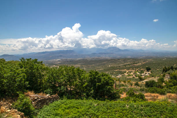 View of olive groves and countryside in Úbeda, Jaén province, Andalusia, Spain. The olive grove fields of the Sierra de Cazorla are a captivating sight to behold. The region is renowned for its vast expanse of olive trees, stretching as far as the eye can see. These fields of olivares, or olive groves, contribute to the production of high-quality olive oil for which the area is famous. The Sierra de Cazorla, located in the province of Jaén, Andalusia, offers a picturesque landscape with rolling hills covered in olive trees, creating a serene and idyllic atmosphere. Exploring the campo de olivares is not only a visual delight but also an opportunity to learn about the olive oil production process and savor the flavors of this liquid gold. jaen stock pictures, royalty-free photos & images