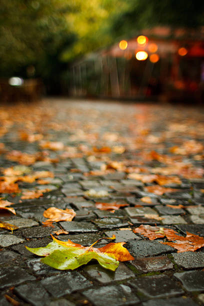 Autumnal urban scene stock photo