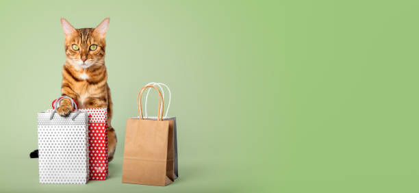 istock Ginger cat with shopping bags on a colored background. 1498454031