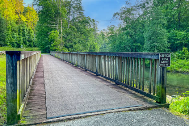 istock Pedestrian Bridge on Georgia Recreation Trail 1498454683