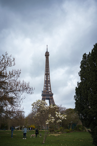 Springtime Champ de Mars and Eiffel tower. Paris, France. March 25, 2023.