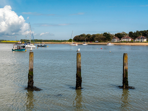 A line of three wooden posts, two topped by seagulls, in the River Deben at Felixstowe Ferry in Suffolk, Eastern England. Across the river is the village of Bawdsey.