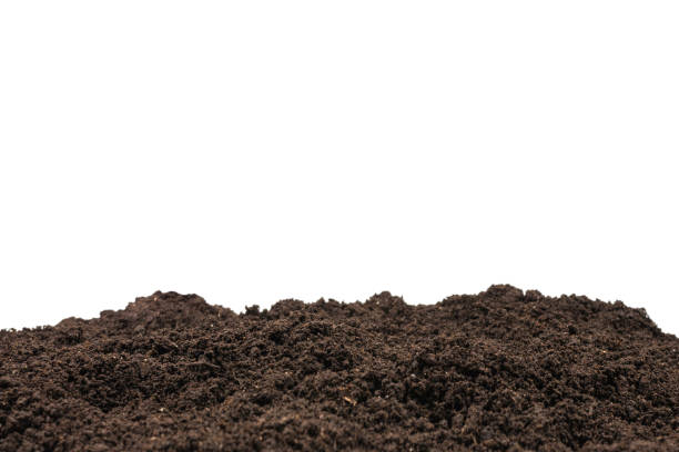istock Black land for plant background. 1498462717