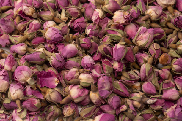 istock Dry tea roses isolated on white background. 1498462777