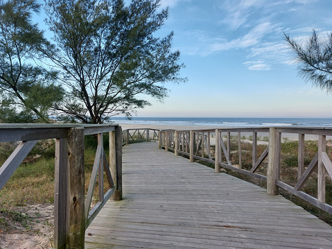 Wooden walkway to the beach with trees and blue sky.