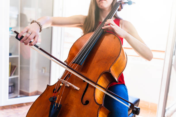 istock Concert Preparation: Young Cellist Devotedly Rehearsing at Home 1498464126