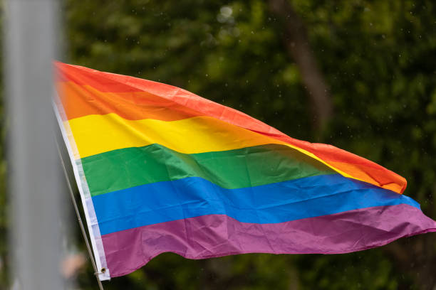 istock rainbow flag symbol of LGBT 1498466093