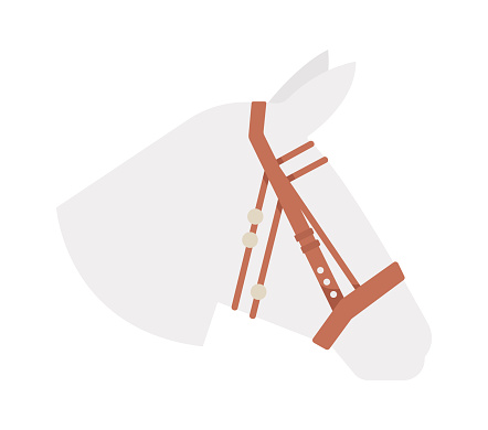 Bridle Equestrian Accessory Vector Illustration