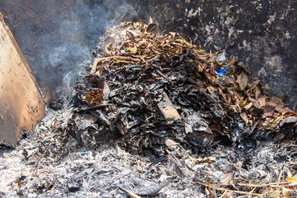 istock Burning dry leaves behind the house 1498474806