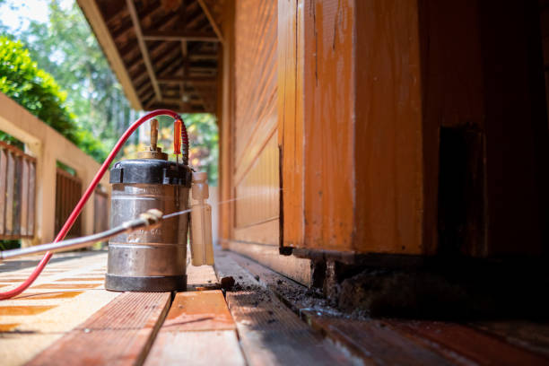 man chose to use exterminate chemicals Termites that are not toxic to humans are mixed with water in a tank for spraying Exterminate termites allow young men to spray termites themselves by himself el hombre eligió usar productos químicos exterminados las termitas que no son tóxicas para los humanos se mezclan con agua en un tanque para rociar las termitas exterminadas permiten a los hombres jóvenes rociar las termitas por sí mismos