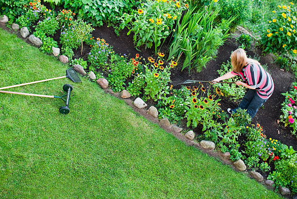 istock Overhead view on women in garden 149847974