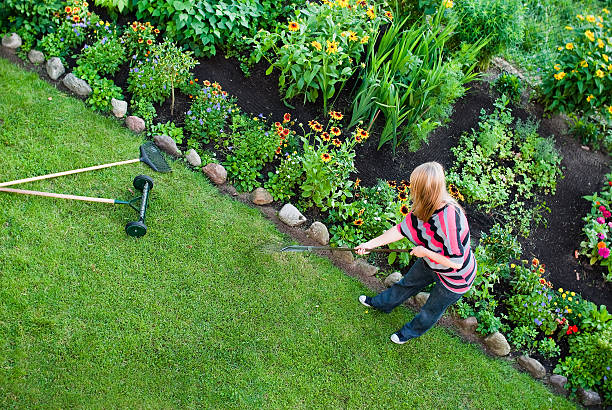 istock Woman rake in flower garden 149848103