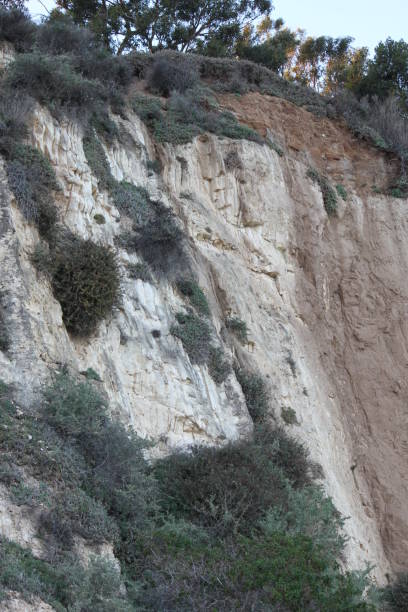 istock Malibu, California 1498481216
