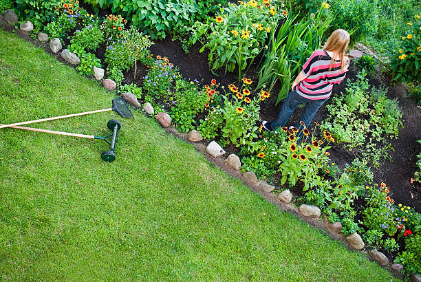 istock Woman in flower garden 149848214