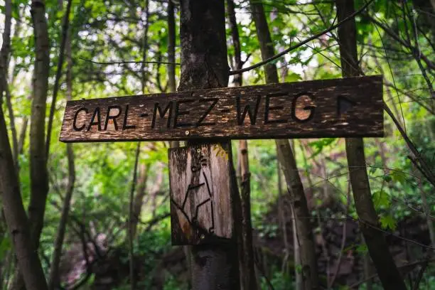A wooden signpost situated in a wooded area, with the words 'Carry Me Wet' printed on it