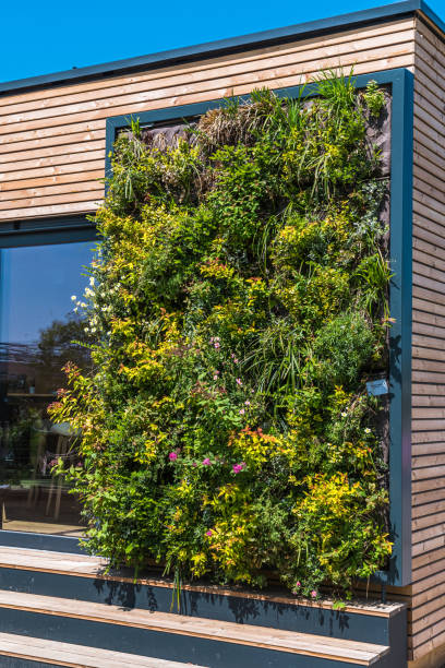istock Modern vertical garden, greening concept, urban garden 1498483793