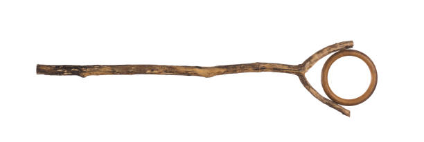 istock magic stick, wooden walking stick isolated on white background 1498487972