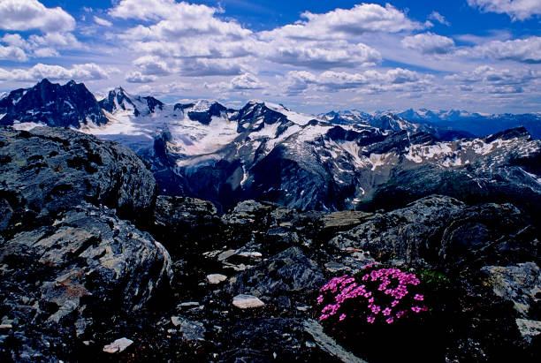 colombie-britannique wilderness, canada - adamant mountains photos et images de collection