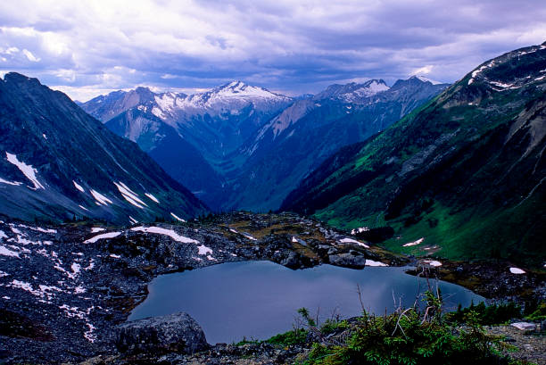 british columbia wilderness, canadá - adamant mountains - fotografias e filmes do acervo