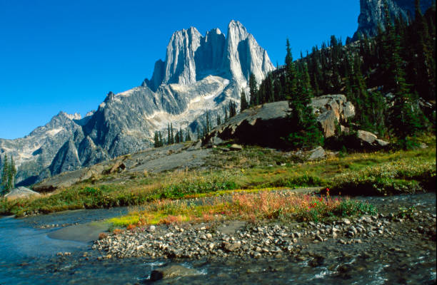 british columbia wilderness, canadá - adamant mountains - fotografias e filmes do acervo