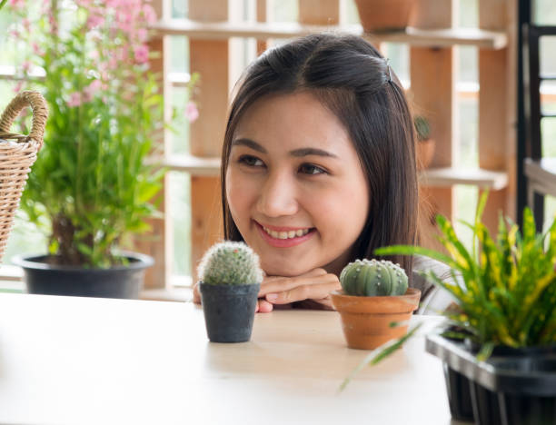 Portrait garden beautiful pretty young Asian girl woman wearing white blouse with long black hair and smile fresh with bright smile  look pot small tree leaf green plant in room shop Happy and relax