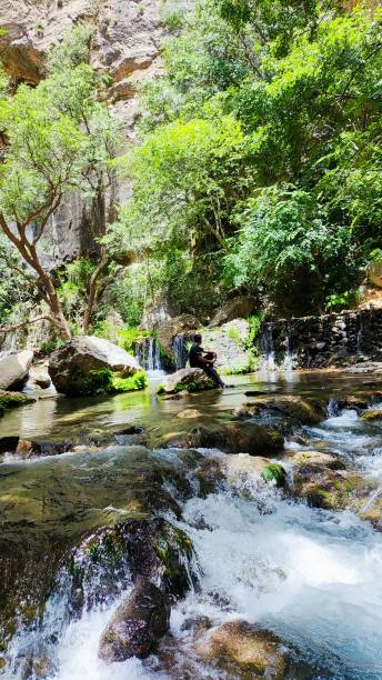 istock Beauty of Nature 1498496177