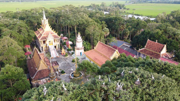 istock Birds on Tree in Front of Typical Khmer Pagoda in Mekong Delta. 1498496251