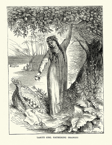 Vintage illustration of Tahiti girl gatherinf oranges from a tree, 1870s, 19th Century