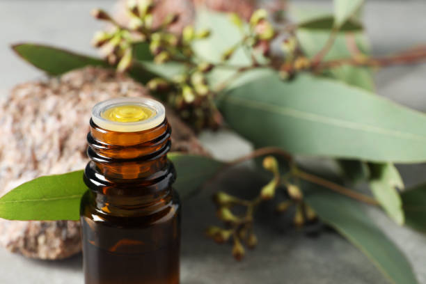 istock Bottle of eucalyptus essential oil, stone and leaves on light grey table, closeup. Space for text 1498498812