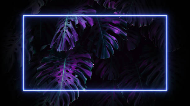 istock Neon frame on tropical palm leaves background. 80-90, neon, jungle concept. 1498499592